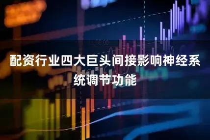配资行业四大巨头间接影响神经系统调节功能